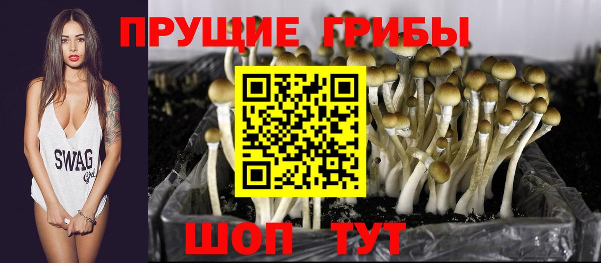 Псилоцибиновые грибы мухоморы  Псилоцибиновые грибы прущие грибы  Вход с VPN  Волгодонск 